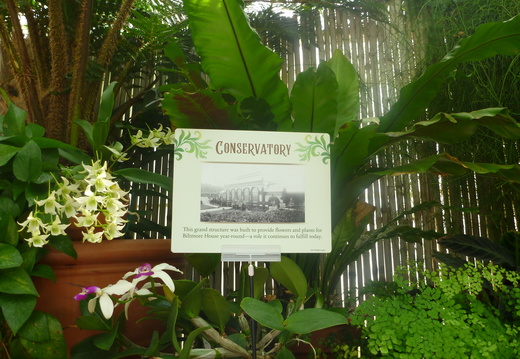 Information about the Conservatory