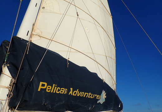 Pelican Adventures - the company we sailed with